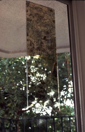 203 on window